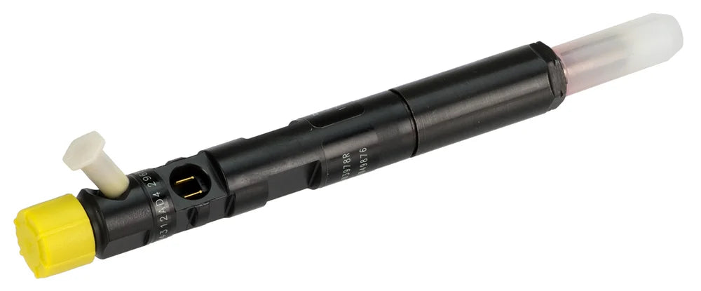 Delphi R01701Z Common Rail Diesel Injector