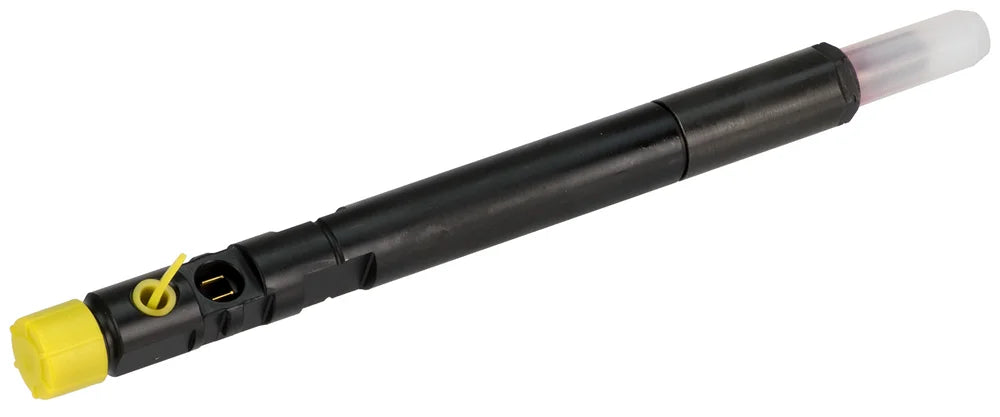 Delphi R04201D Common Rail Diesel Injector